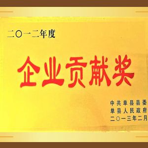 企業貢獻（xiàn）獎